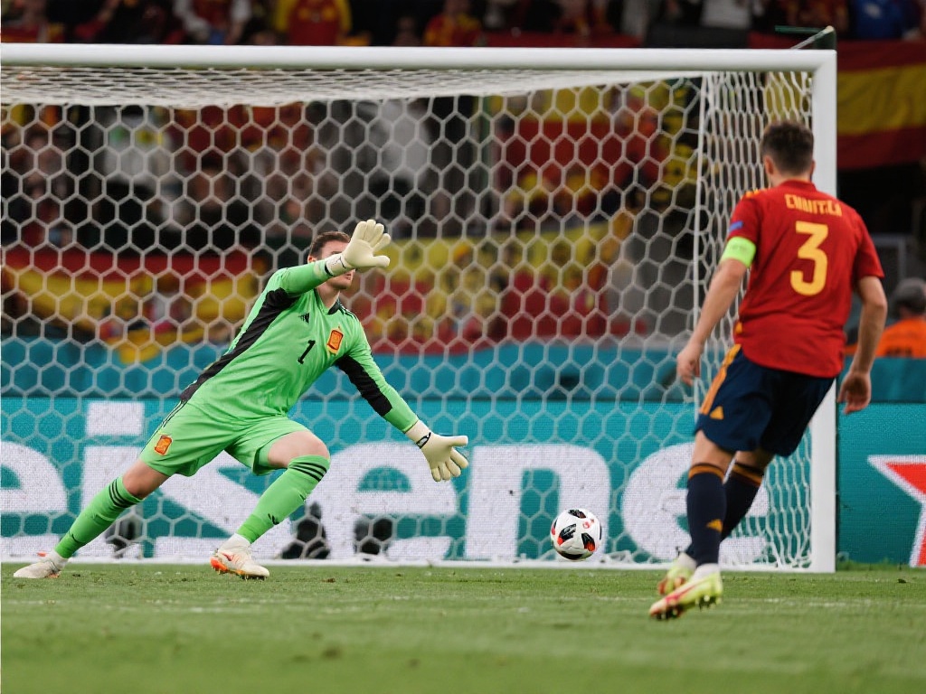 的视野和脚 的视野和脚